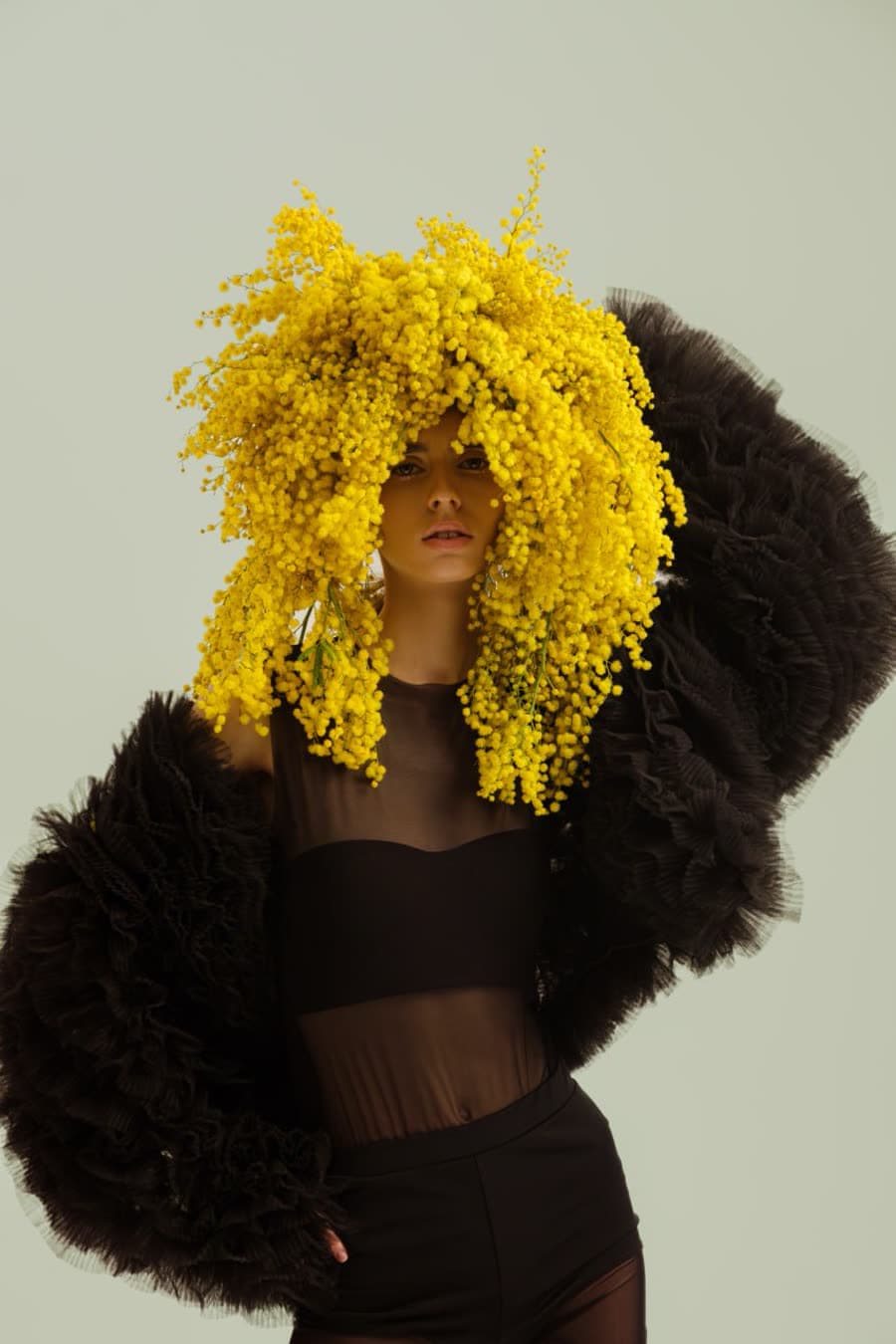 Lacy Bird editorial