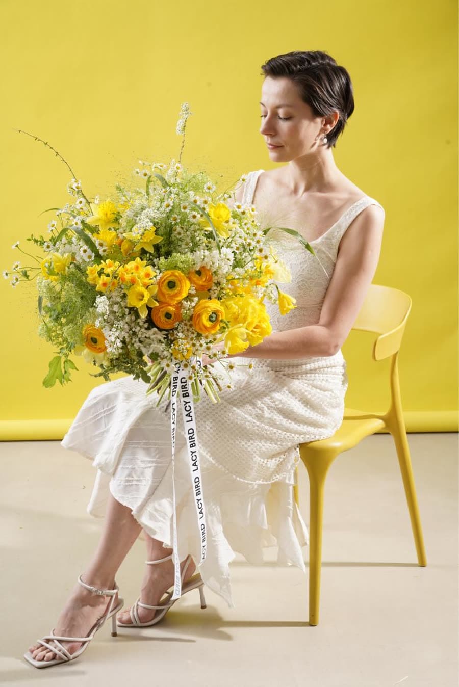 Lacy Bird spring